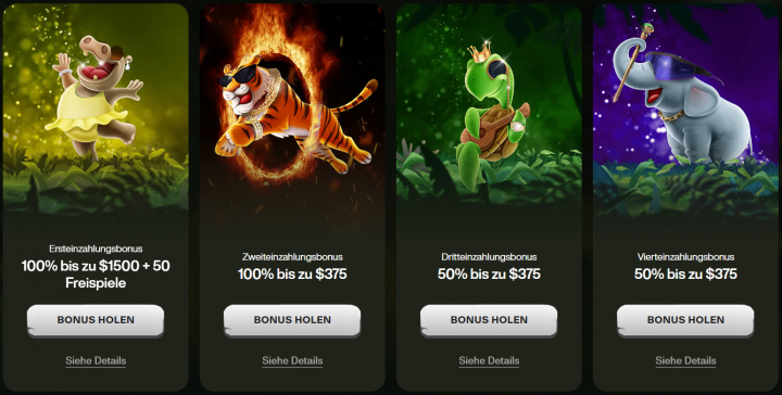 cashwin casino bonus