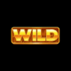 Coin Win Express: Hold the Spin 2