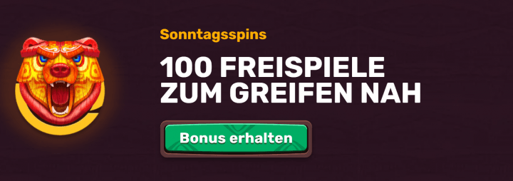 5Gringos Casino 11