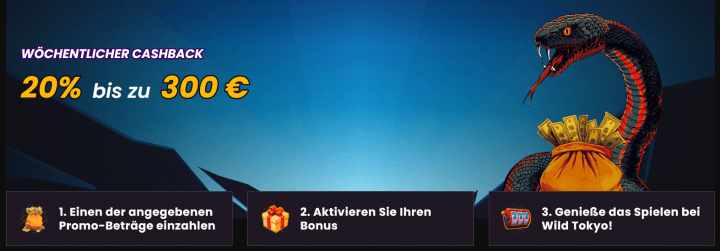 Wild Tokyo Casino 11