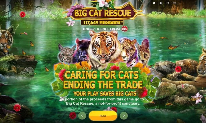 Red Tiger Big Cat Rescue Megaways spendet Einsätze für wohltätige Zwecke