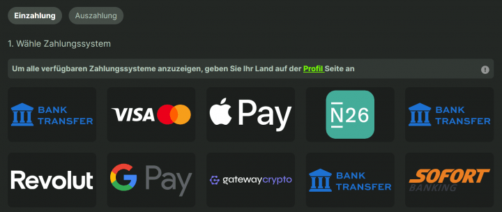 WeltBet Casino 13