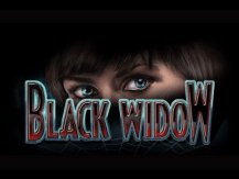  Black Widow Squidpot Test