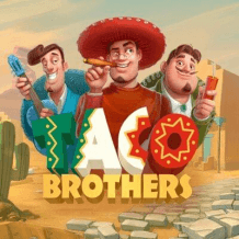  Taco Brothers Test