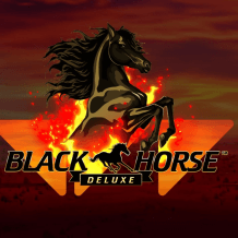  Black Horse Deluxe Test