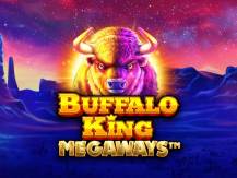  Buffalo King Megaways Test