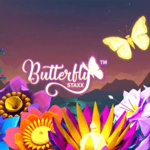  Butterfly Staxx Test