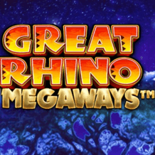  Great Rhino Megaways Test
