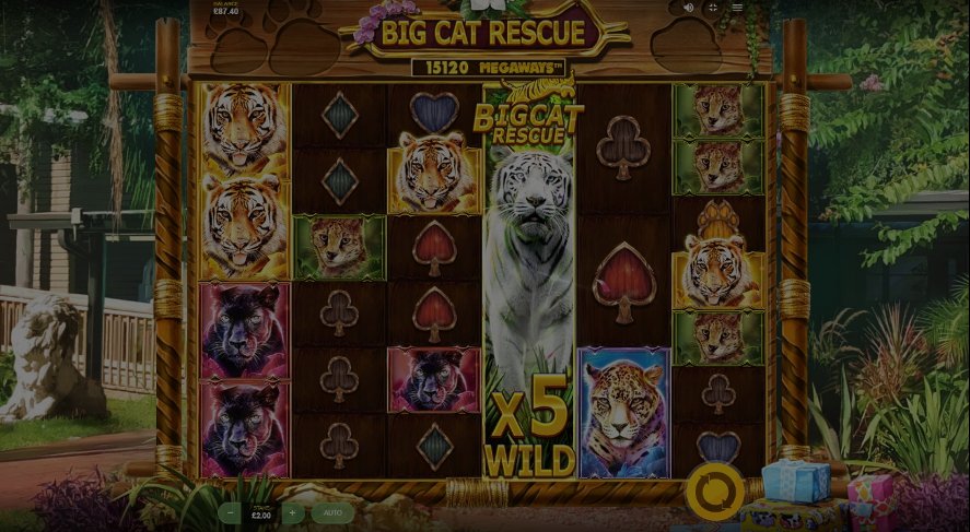 Big Cat Rescue Megaways demo