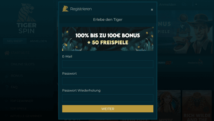 TigerSpin Casino 2