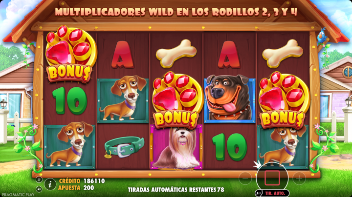 The Dog House 13