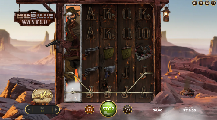 Dead or Alive 3: Wanted 13