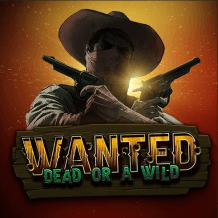 Reseña de Wanted Dead or a Wild 