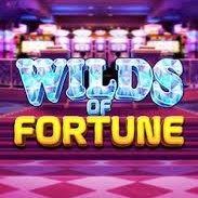 Reseña de Wilds Of Fortune 