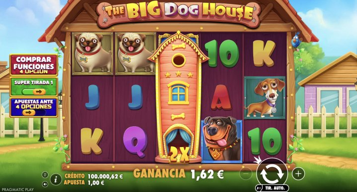 The Big Dog House 22