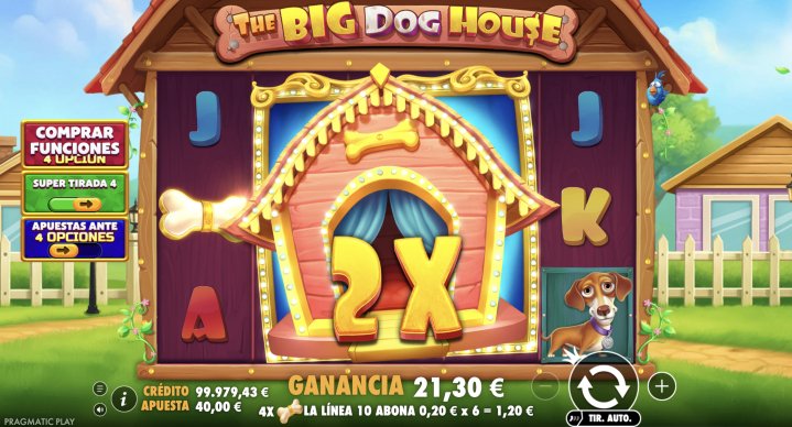 The Big Dog House 25