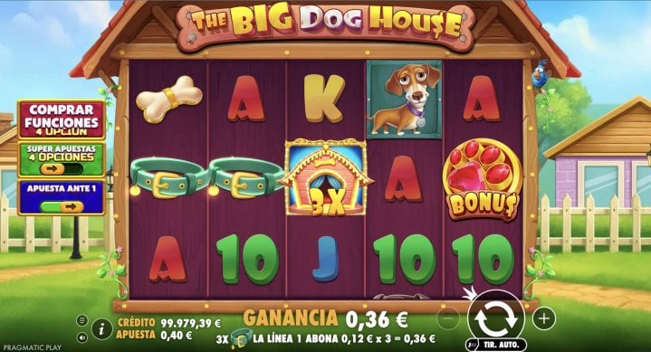 The Big Dog House 18