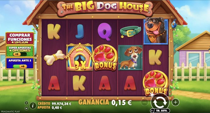 The Big Dog House 19
