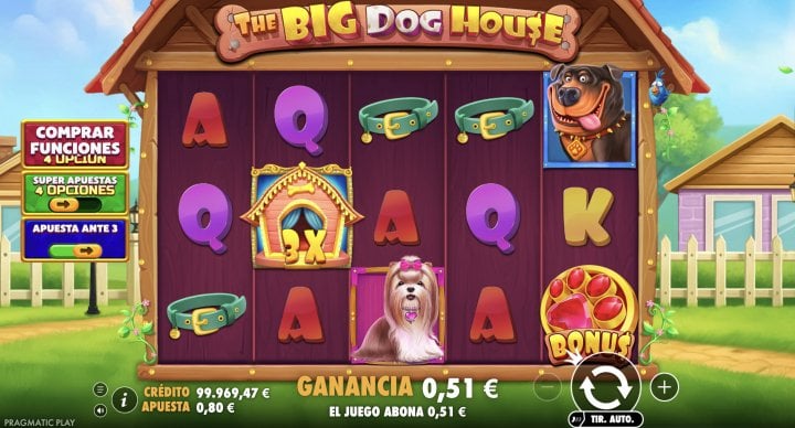 The Big Dog House 20