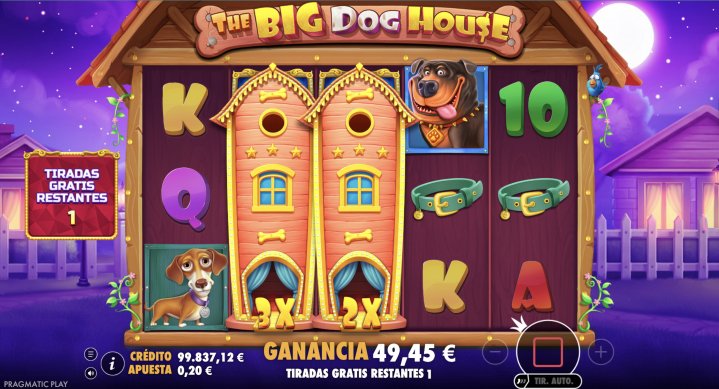 The Big Dog House 17