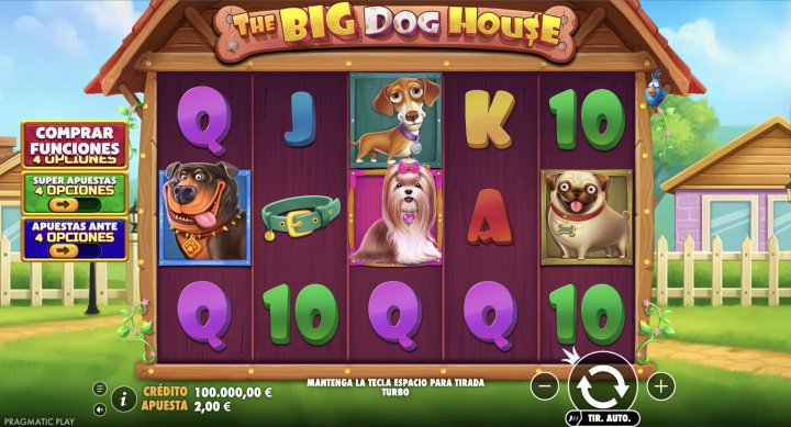 The Big Dog House 1