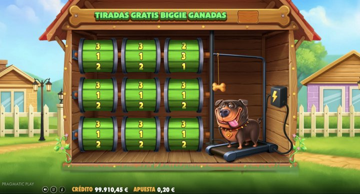 The Big Dog House 13