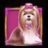 The Dog House Megaways 1000 3