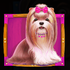 The Dog House 3