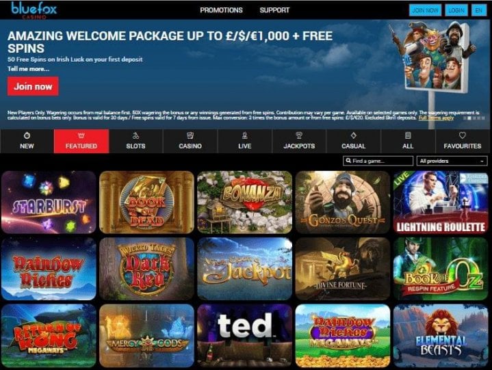 Bluefox Casino 1