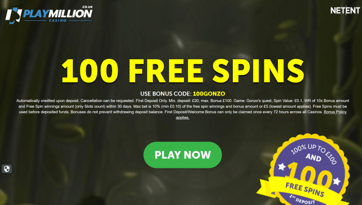 PlayMillion Casino 5