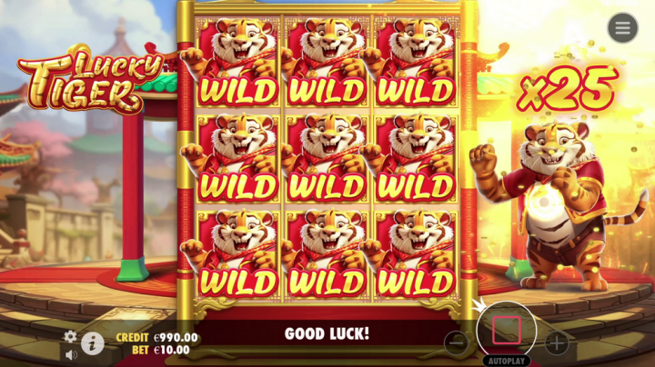 Lucky Tiger 11