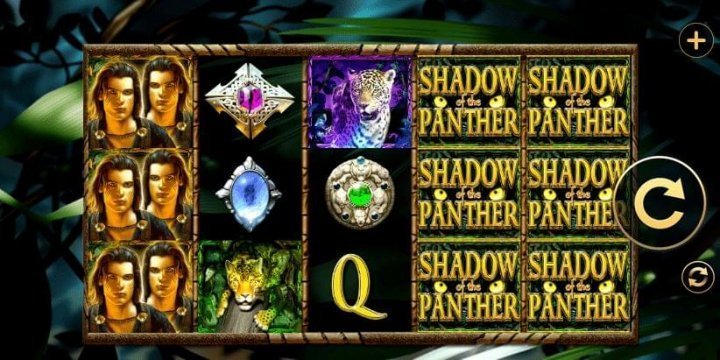 Shadow of the Panther 1