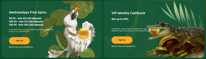 50 Crowns Casino 4