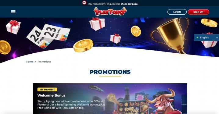 PlayToro Casino 2