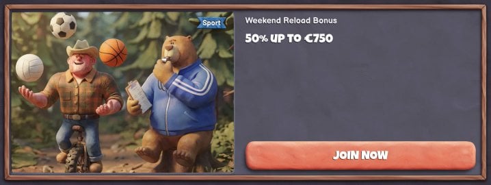 Bearo Casino 11