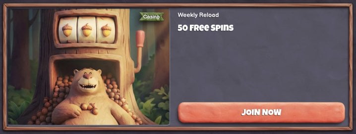 Bearo Casino 3