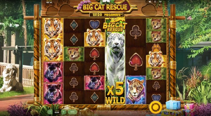 Big Cat Rescue Megaways 1