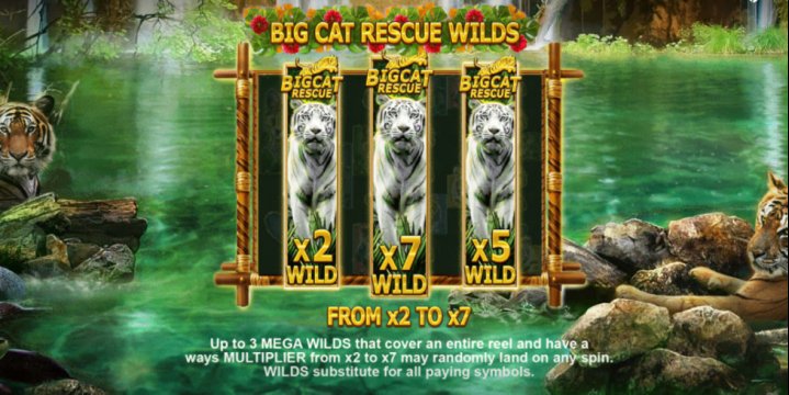 Big Cat Rescue Megaways 2