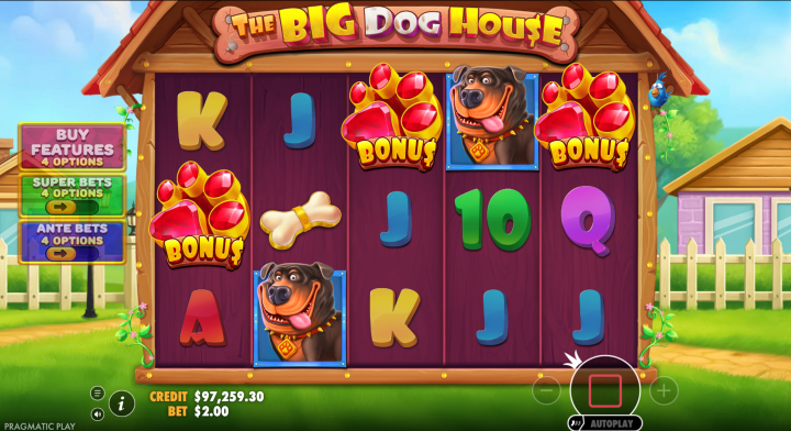 The Big Dog House 14