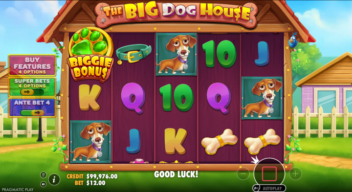 The Big Dog House 19
