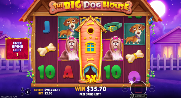 The Big Dog House 18