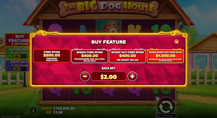 The Big Dog House 21