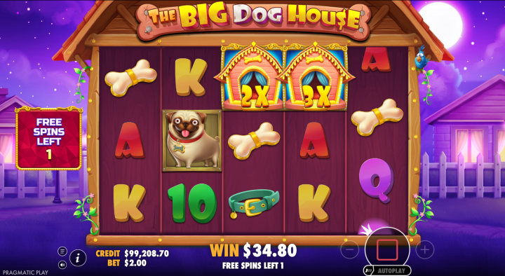 The Big Dog House 17