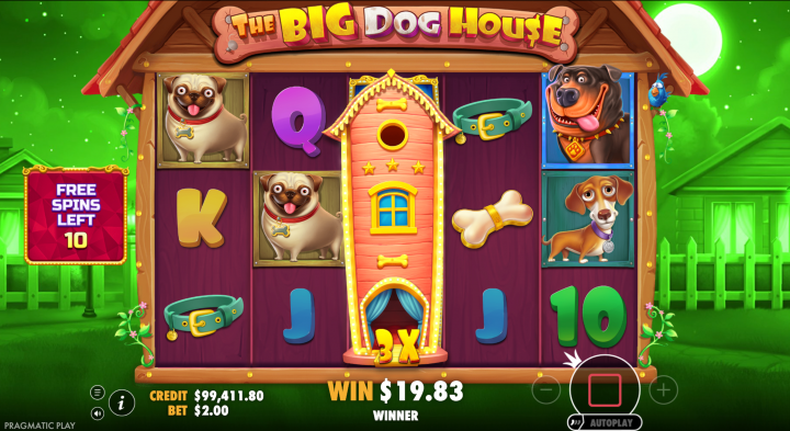The Big Dog House 16
