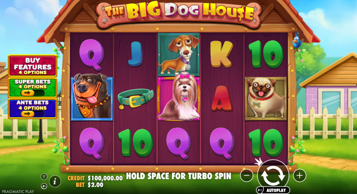The Big Dog House 1