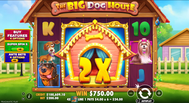 The Big Dog House 13