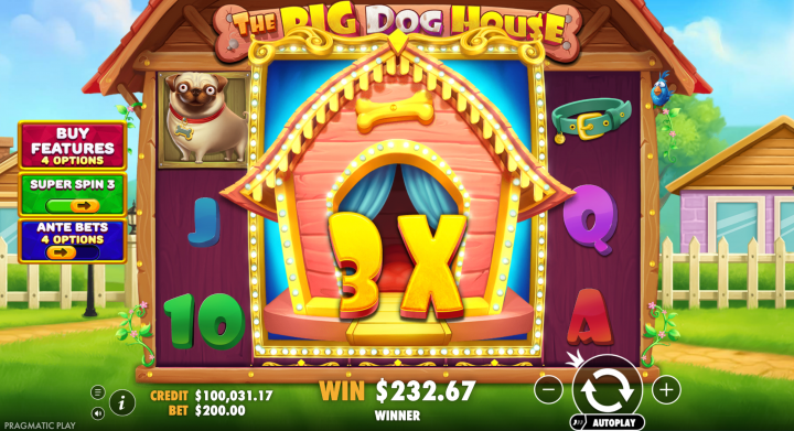 The Big Dog House 20