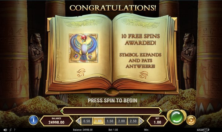 Book of Dead GO Collect 12