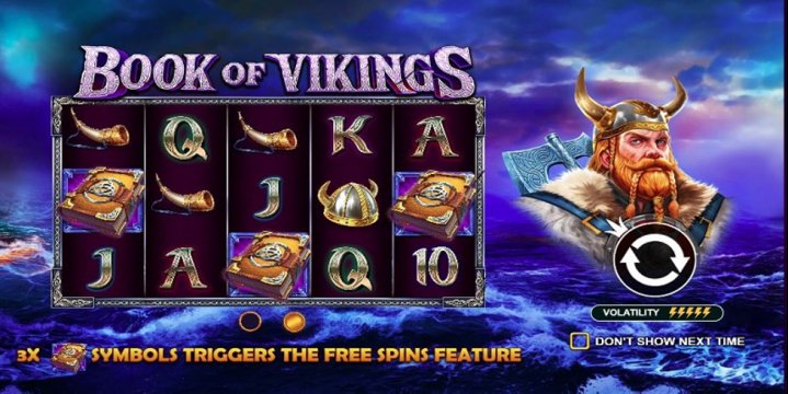 Book of Vikings 1