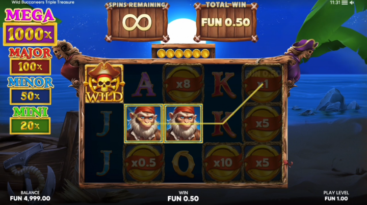 Wild Buccaneers Triple Treasure 14